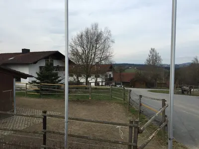 Horsemanship Vicari