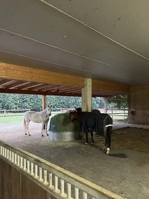 Pferdepension Dießl