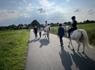 Reitponygestüt