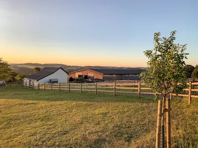 Gut Wellesberg - Reitsportanlage Steinhaus