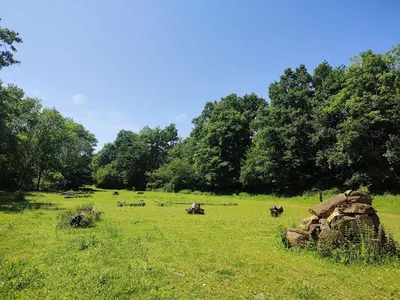Pferdepension ALTE SÄGEMÜHLE