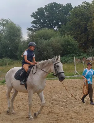 Horseland "Stall der Freiheit"