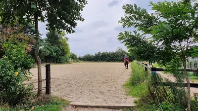 Pferdepension Schlüter