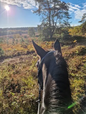 Reitanlage Schönbuchen