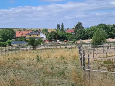 Reitanlage RS Neumaier