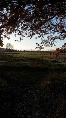 Gestüt Moorgarten