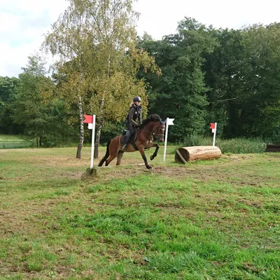 Reitanlage am Schloßweg