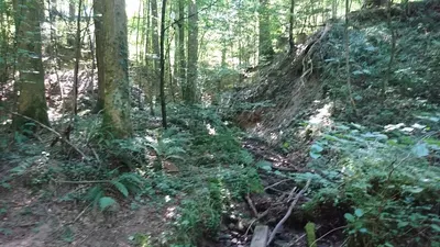 Fohlenhof Sulzbachtal