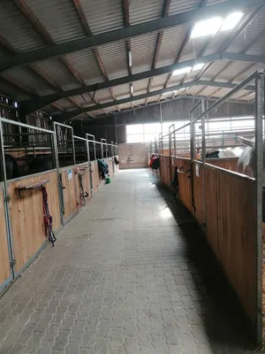 Reitlal CBD-Eber Sulzthal Sport
