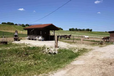 Pferdepension Ullrich - im Dossinger Tal