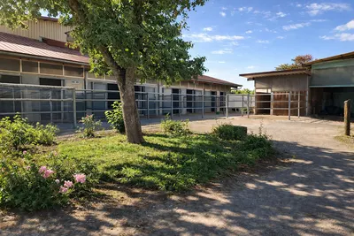 Rainbow Stable