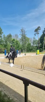 Ralf und Kyra Geißler Pferdebetrieb GbR