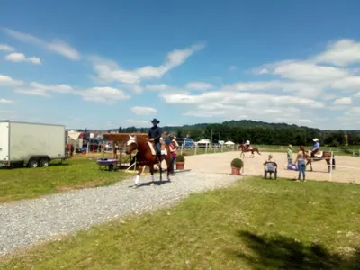 Bearcreek Farm