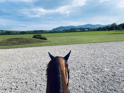 Reiten am Kaiserstuhl Jennifer Wegert-Stein