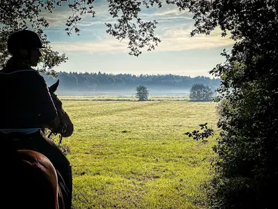 Reitanlage Rissen
