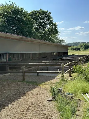 Dragonfly Ranch