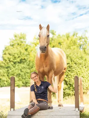 Der Reitstall ist vor 10 Monaten verkauft worden.