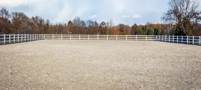 Reitanlage Fockenberg - Inhaber Thomas Fockenberg