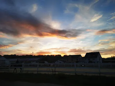Moselponyhelden