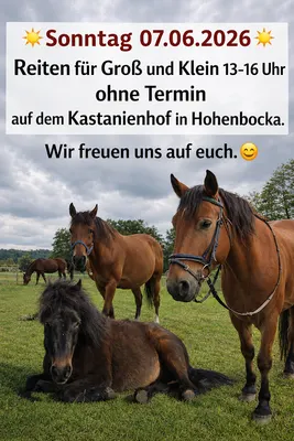 Café Kastanienhof mit Reitbetrieb Hohenbocka