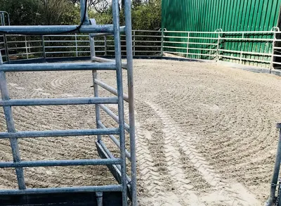Reitclub Heltersberg e. V