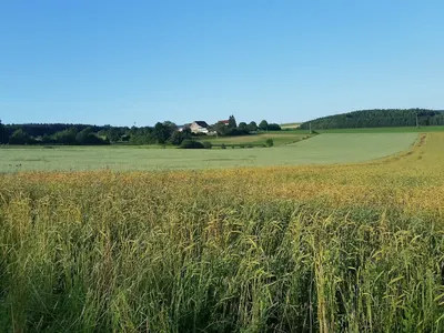 Gut Gründelbuch