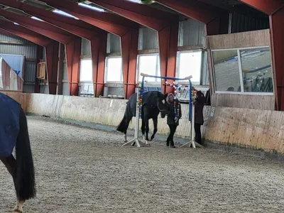 Reitstall Westerhof