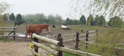 Gut Hogefeld