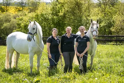equi-art Reitkunst GmbH