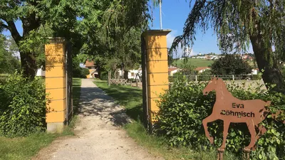 Reiterhof Eva Böhmisch