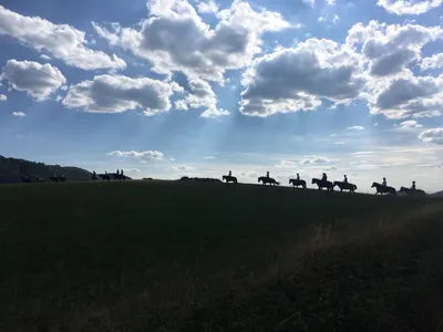 Reitstall Hohe Rhön - Martina Schleicher