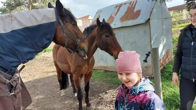 Reitstall Eimersleben