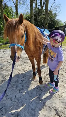 Dragonfly Ranch Linda von Abel