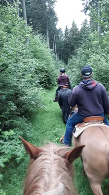 Wanderreithof Erzgebirge