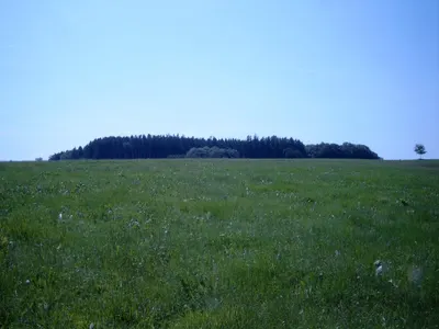 Pferdepension