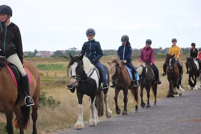 To'n Peerstall Langeoog