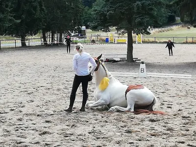 Reithalle Rechtenbach