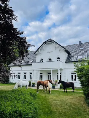 Ankerpferde