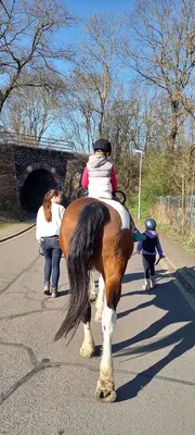 Reittherapiestall A&O