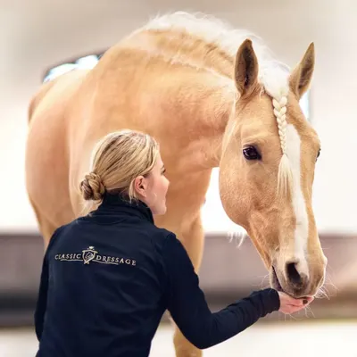 CD | Classic Dressage