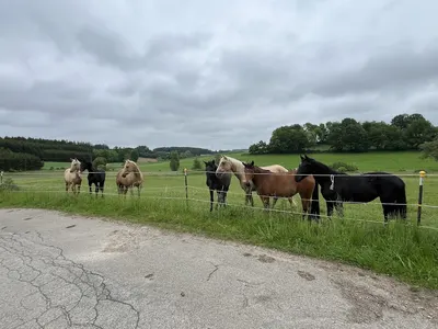 Joslhof Humersberg, Werner Gschoßmann