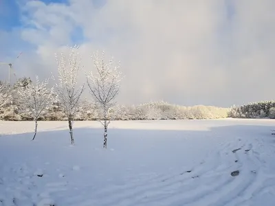 Kücherhof - Lara Tauer