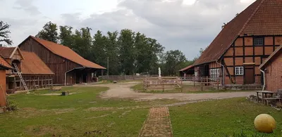 Pferde auf Uhlenborg