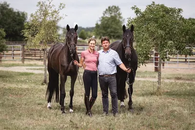 Sportpferde Scholz