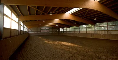 Ponyfarm am Mittelweg