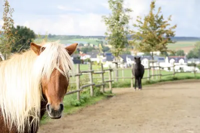 Reitstall Löflad