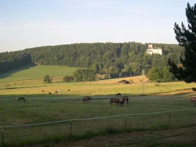 Landwirtschaftlicher Betrieb Birkenhof