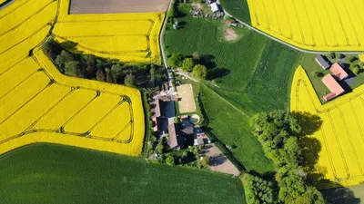 Islandpferde Holterdorf