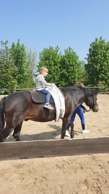 Reitanlage Kessing Gbr