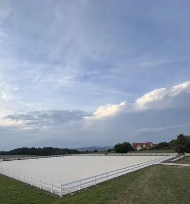 Lindenhof Dressage